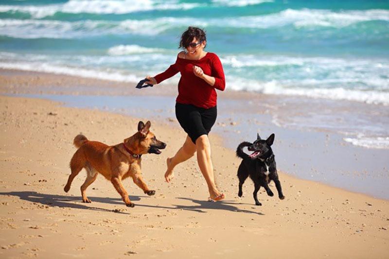 dogs woman running beach